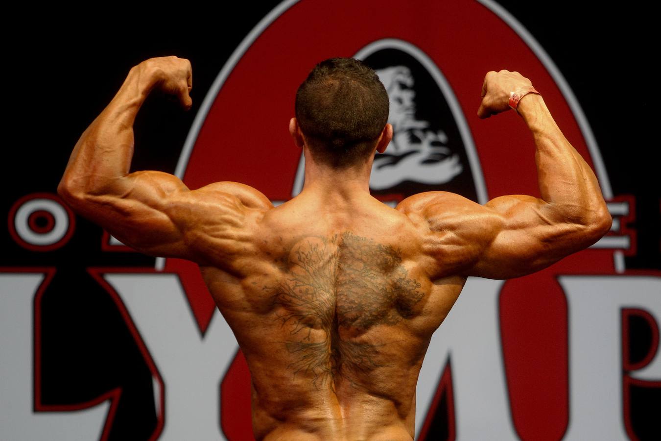 Músculos &#039;amateur&#039;