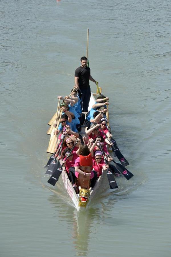 Vuelve al Segura la mejor regata