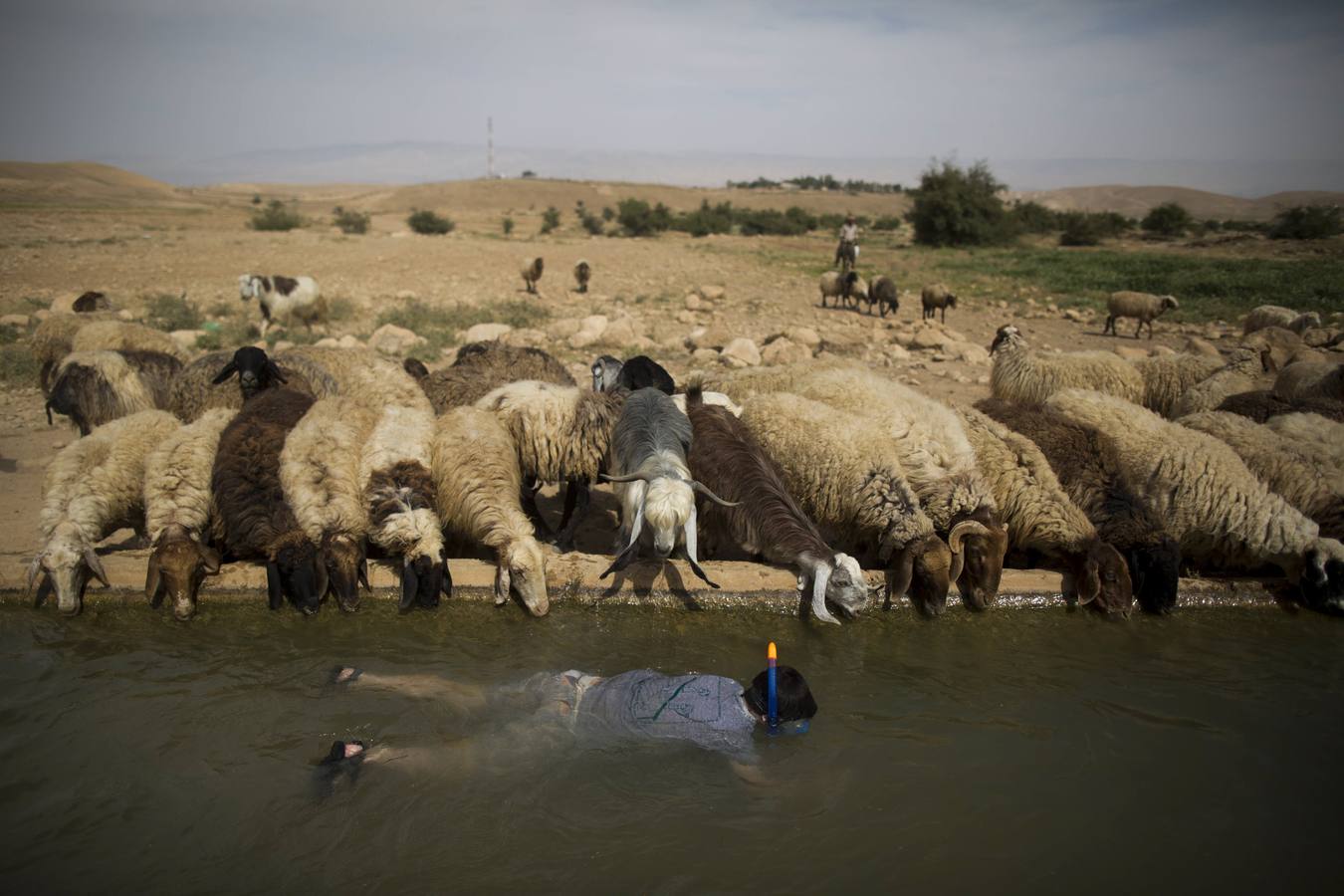 El Día Mundial del Agua sin agua