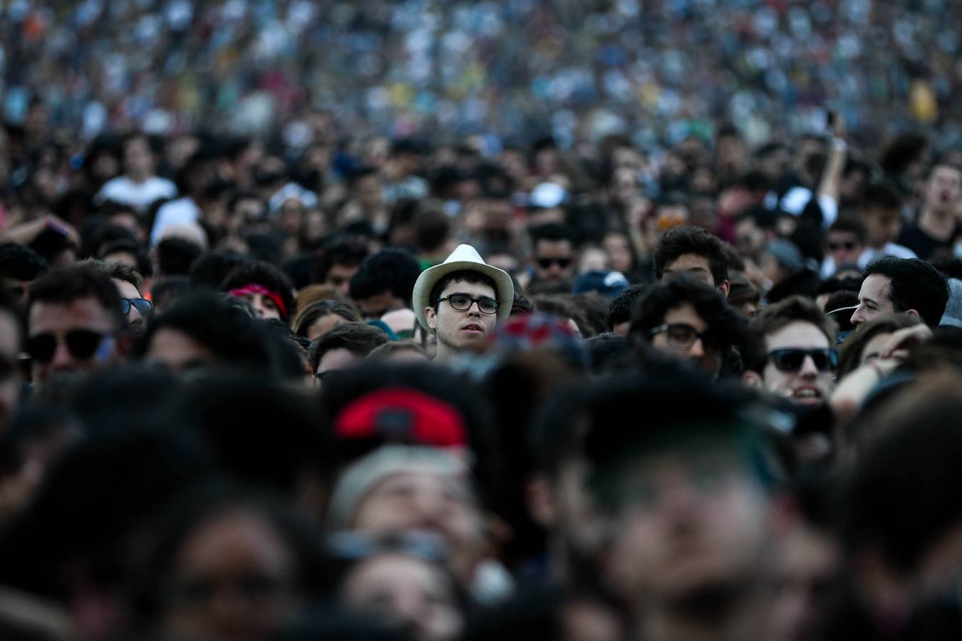 Lollapalooza Brasil, &#039;que cosa mais linda&#039;