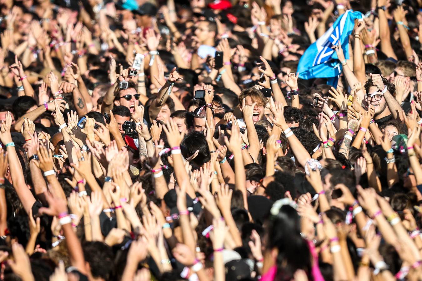 Lollapalooza Brasil, &#039;que cosa mais linda&#039;