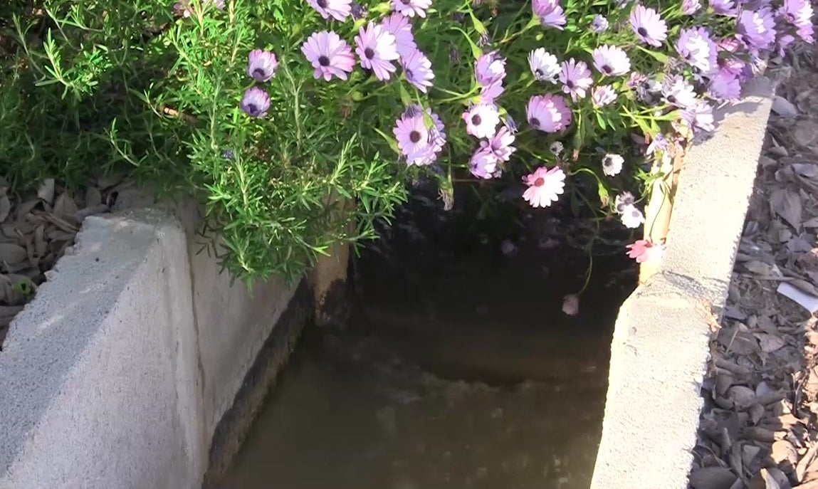 Acequia de Alfatego, en la pedanía murciana de Guadalupe