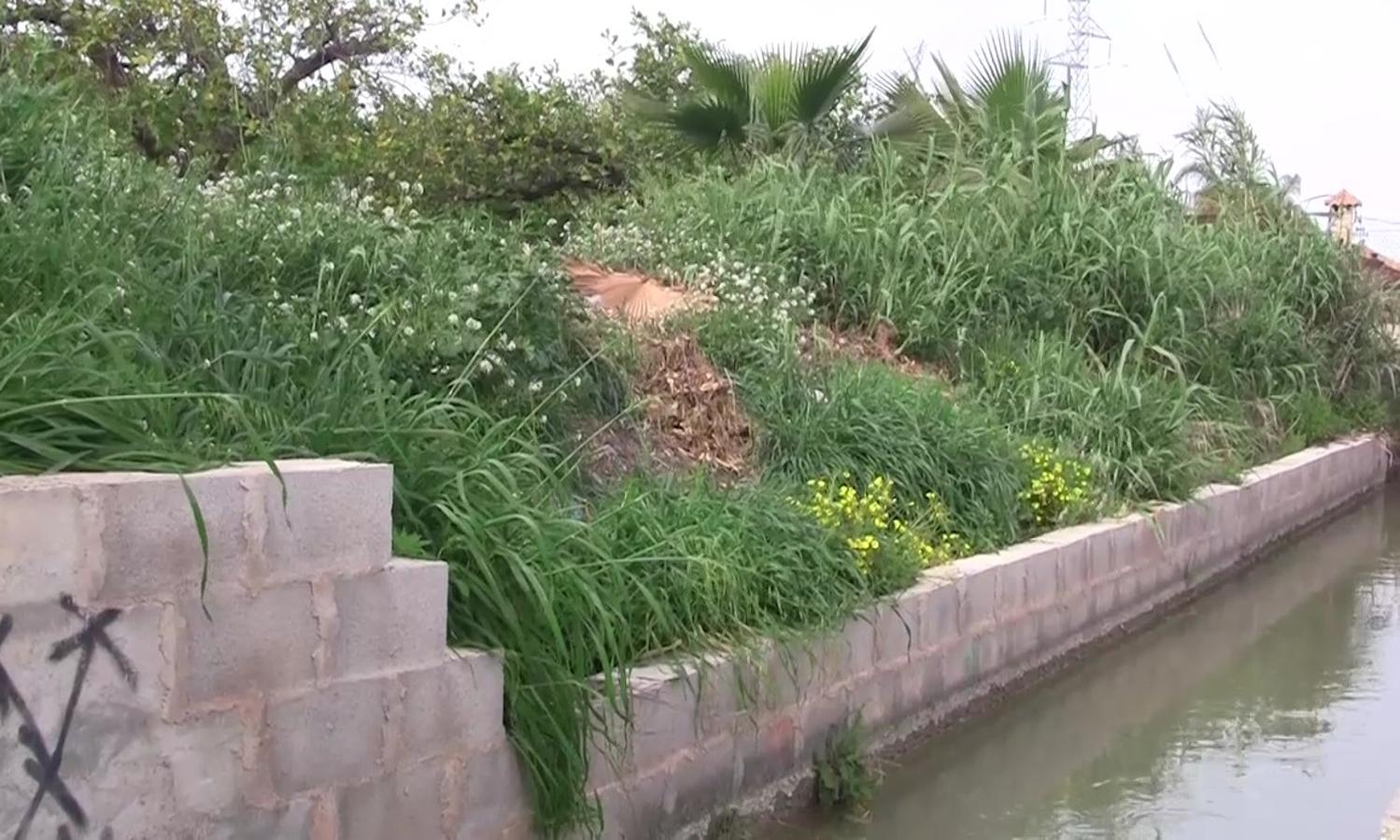 Acequia de Alfatego, en la pedanía murciana de Guadalupe