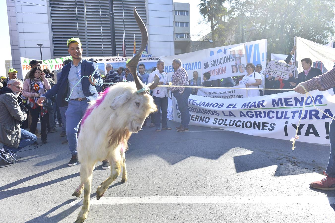 Miles de personas se manifiestan en favor del Mar Menor y la agricultura