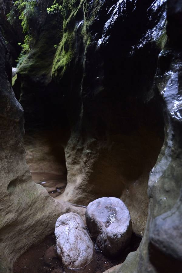 En las playas tropicales de Espuña