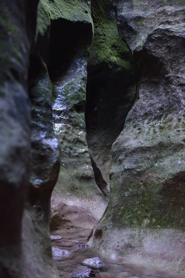 En las playas tropicales de Espuña