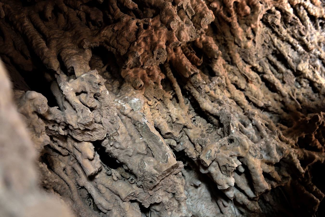 En las playas tropicales de Espuña