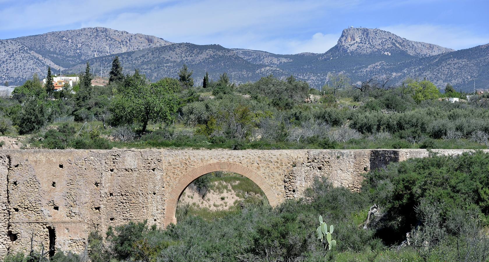 En las playas tropicales de Espuña