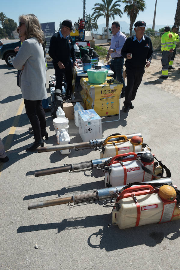 Guerra total contra el mosquito tigre