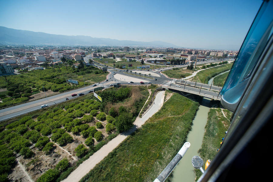 Guerra total contra el mosquito tigre
