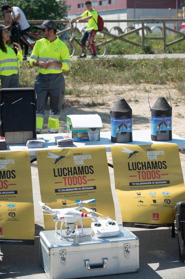 Guerra total contra el mosquito tigre