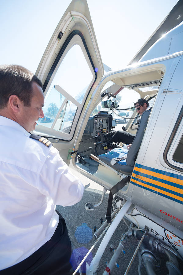 Guerra total contra el mosquito tigre