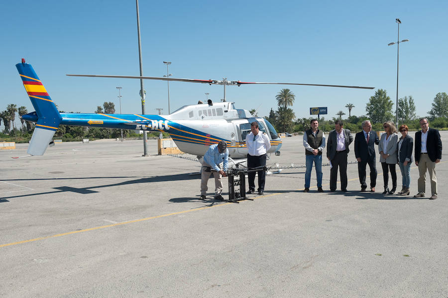 Guerra total contra el mosquito tigre