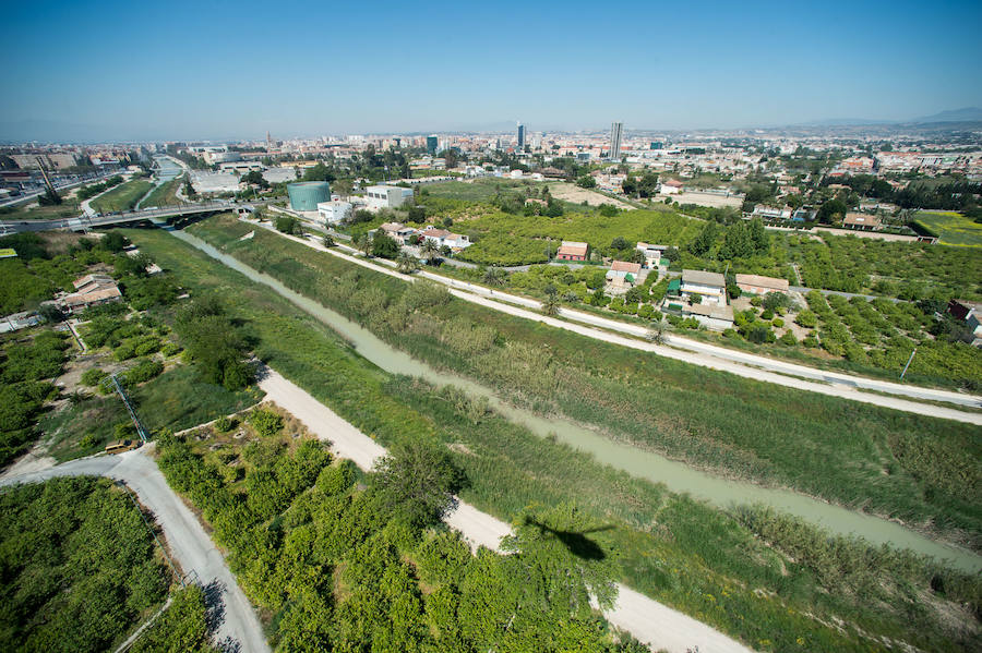 Guerra total contra el mosquito tigre