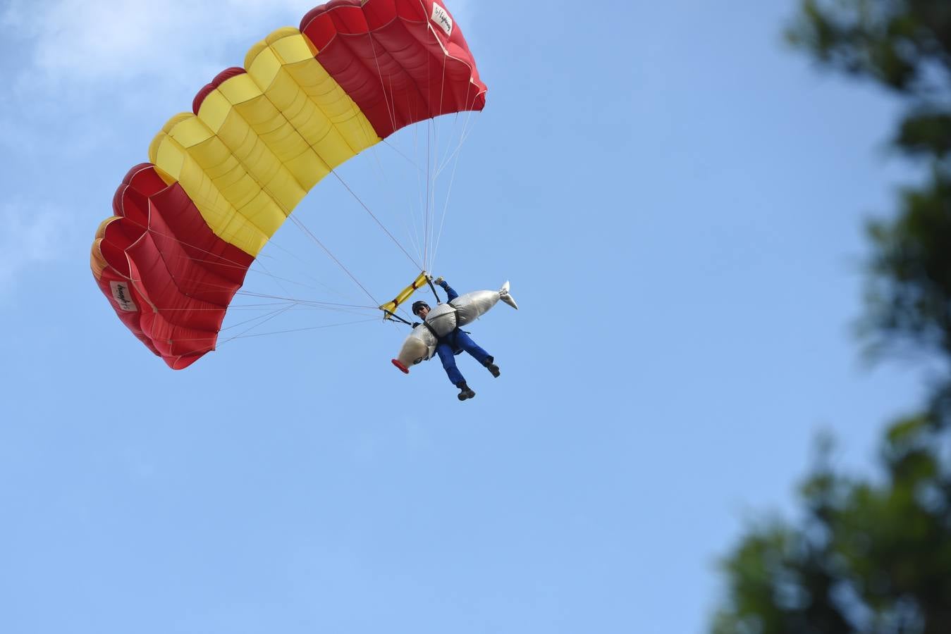 La sardina cae del cielo