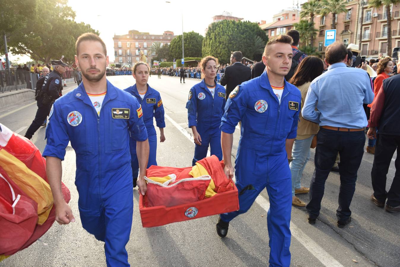 La sardina cae del cielo