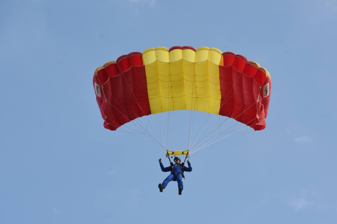 La sardina cae del cielo