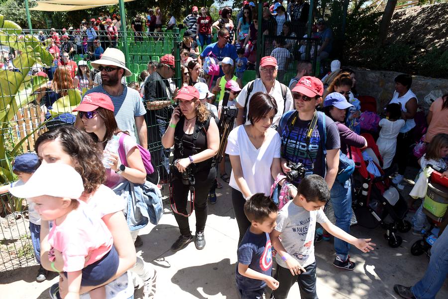 Enfocando la naturaleza más salvaje
