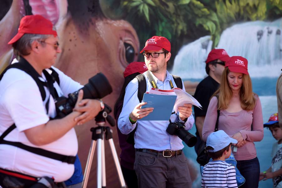 Enfocando la naturaleza más salvaje