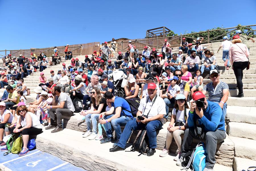 Enfocando la naturaleza más salvaje
