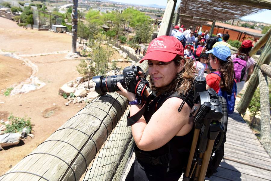 Enfocando la naturaleza más salvaje