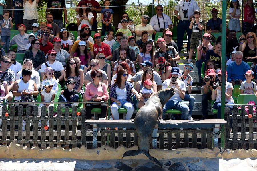 Enfocando la naturaleza más salvaje