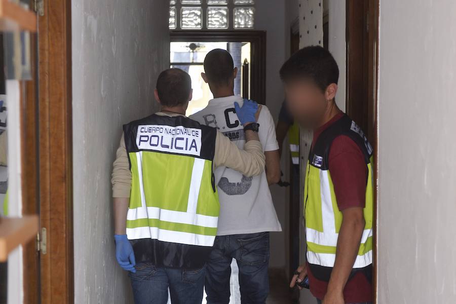 Una veintena de detenidos en un nuevo golpe contra el cultivo de &#039;maría&#039;