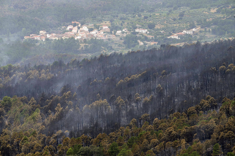 Los bomberos forestales que desde el pasado jueves luchan contra las llamas en el incendio de Yeste (Albacete) tienen previsto acotar el fuego este miércoles.