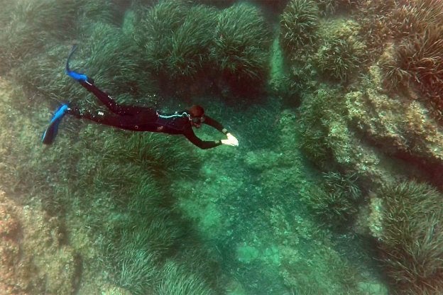 Descubrir la posidonia. Una joven hace esnórquel sobre las praderas de 'Posidonia oceánica' de Cabo de Palos.