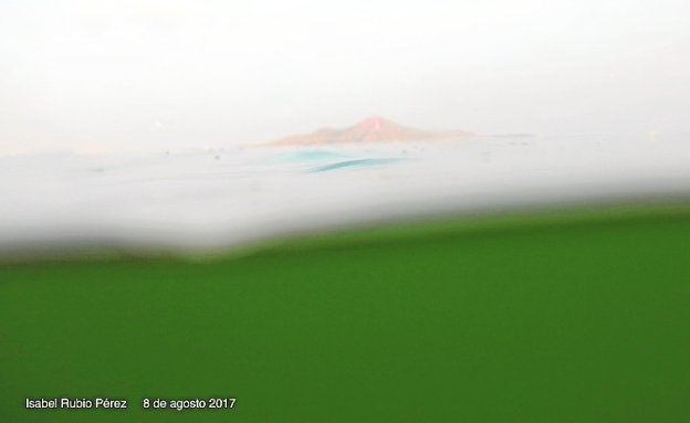 Denuncian el color verde del Mar Menor
