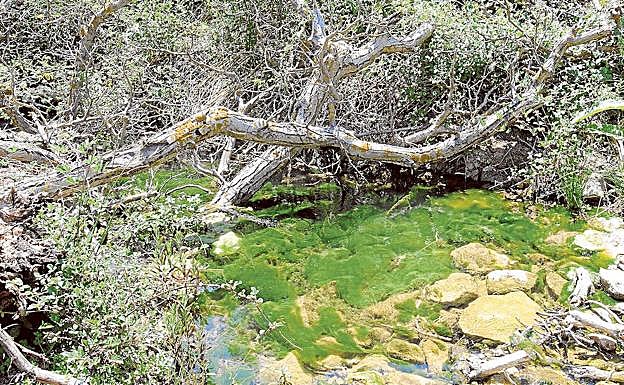 Rincones con alma: Arroyo Tercero