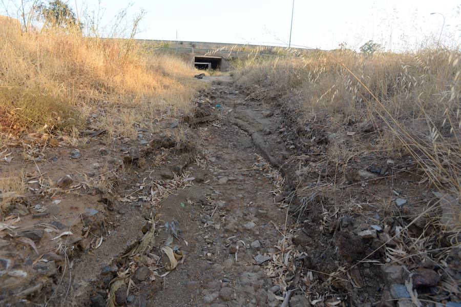 El organismo de cuenca confirma que proceden de desaladoras ilegales de explotaciones del Campo de Cartagena