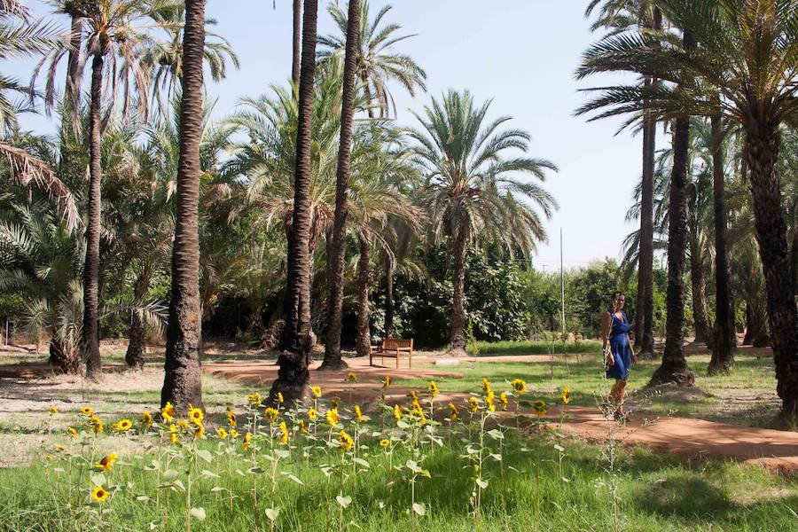 El cuidado de los 9.000 metros cuadrados consistió en el mantenimiento intensivo de los ejemplares existentes y la plantación de árboles.