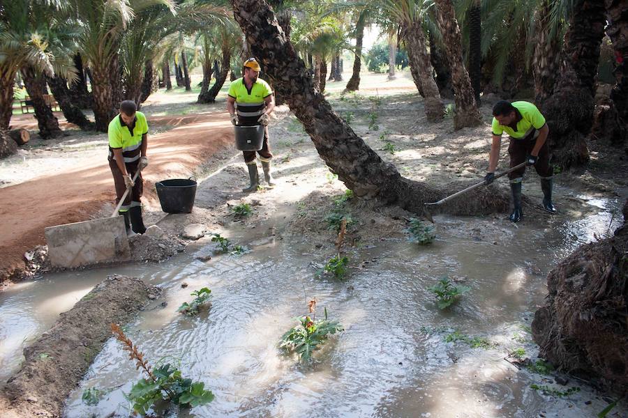 El cuidado de los 9.000 metros cuadrados consistió en el mantenimiento intensivo de los ejemplares existentes y la plantación de árboles.