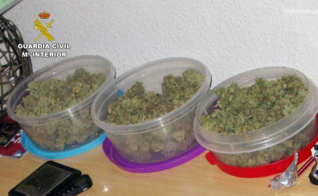 Desmantelan un punto de venta de marihuana en Águilas