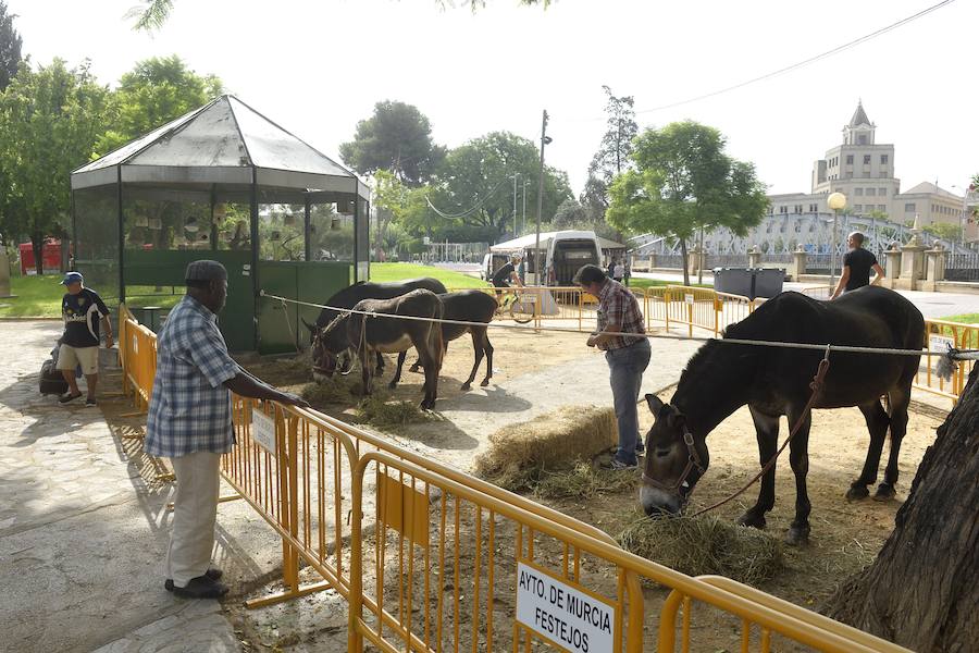El Ayuntamiento fomenta la adopción de mascotas con una muestra en los jardines de la avenida Teniente Flomesta