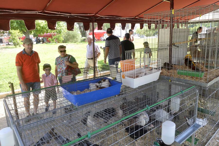 El Ayuntamiento fomenta la adopción de mascotas con una muestra en los jardines de la avenida Teniente Flomesta