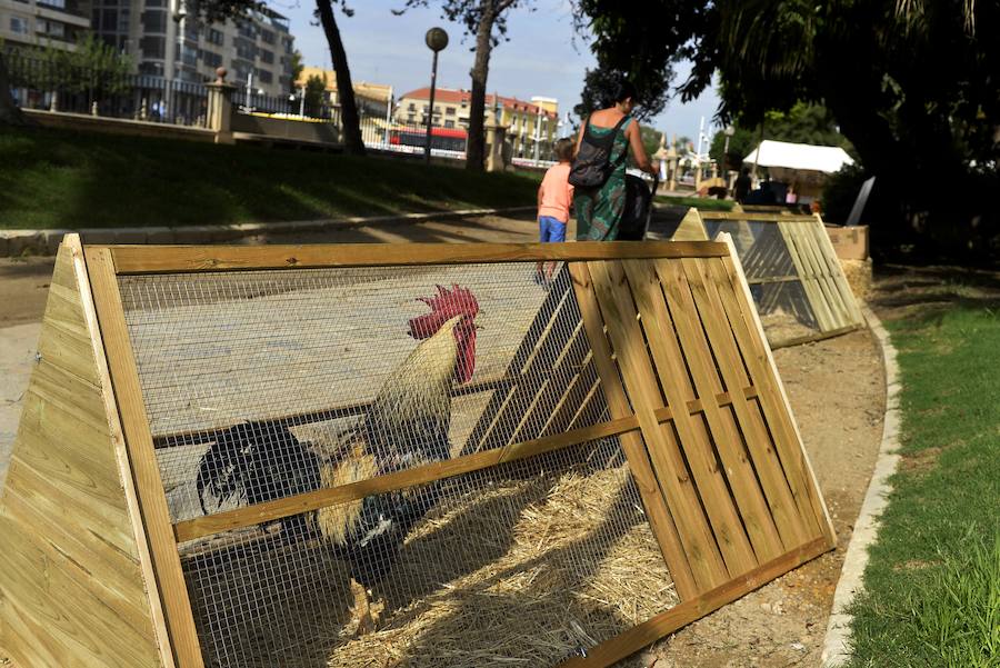 El Ayuntamiento fomenta la adopción de mascotas con una muestra en los jardines de la avenida Teniente Flomesta