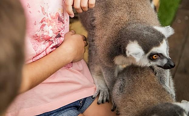 Mundomar inicia su campaña escolar con un novedoso programa educativo que permite la interacción con animales