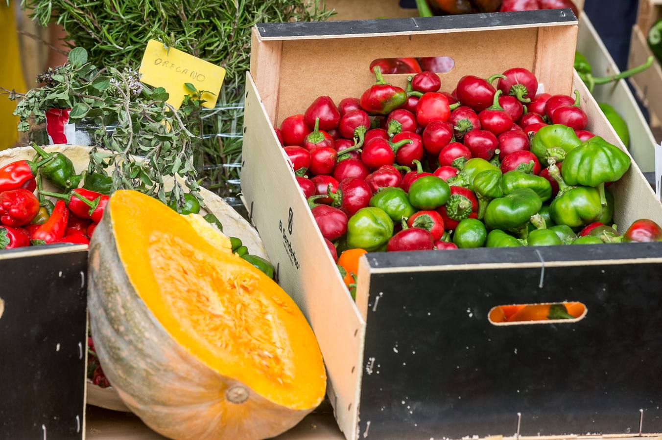 Una docena de expositores que ofrecen una amplia variedad de alimentos, especialmente frutas, hortalizas, confituras, mieles y encurtidos