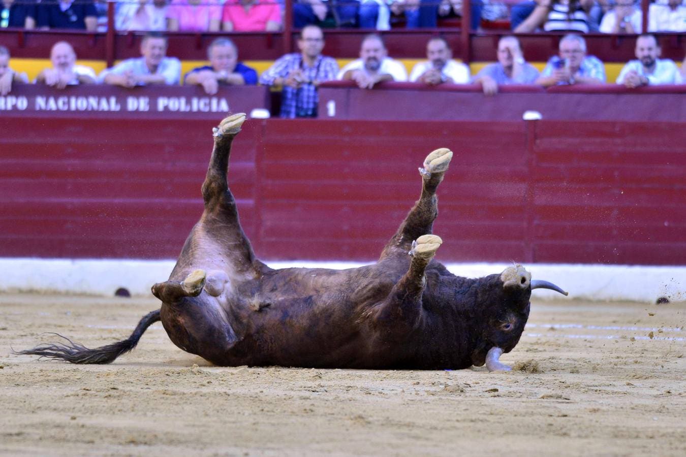 El de Lorca firma una faena muy completa con capote y muleta a la que el francés da réplica. Perera se marcha de vacío, en una actuación sin alma 