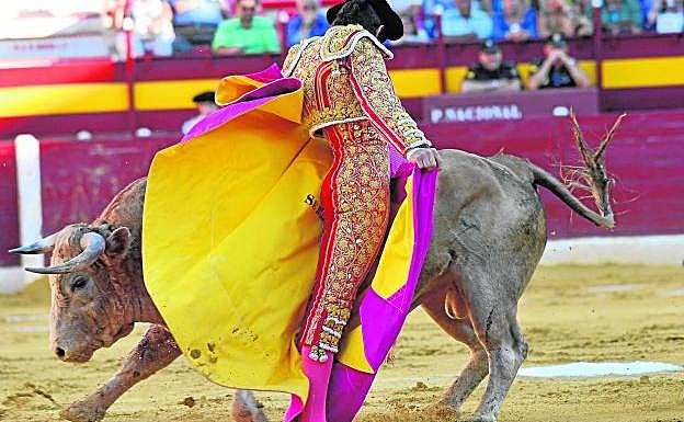 Chicuelinas de Sebastián Castella, en un quite, al primer Núñez del Cuvillo que saltó al ruedo, ayer, en la primera corrida de abono de la Feria de Murcia.