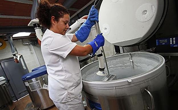 La Región supera los 20.500 donantes de médula tras un aumento del 17% desde enero