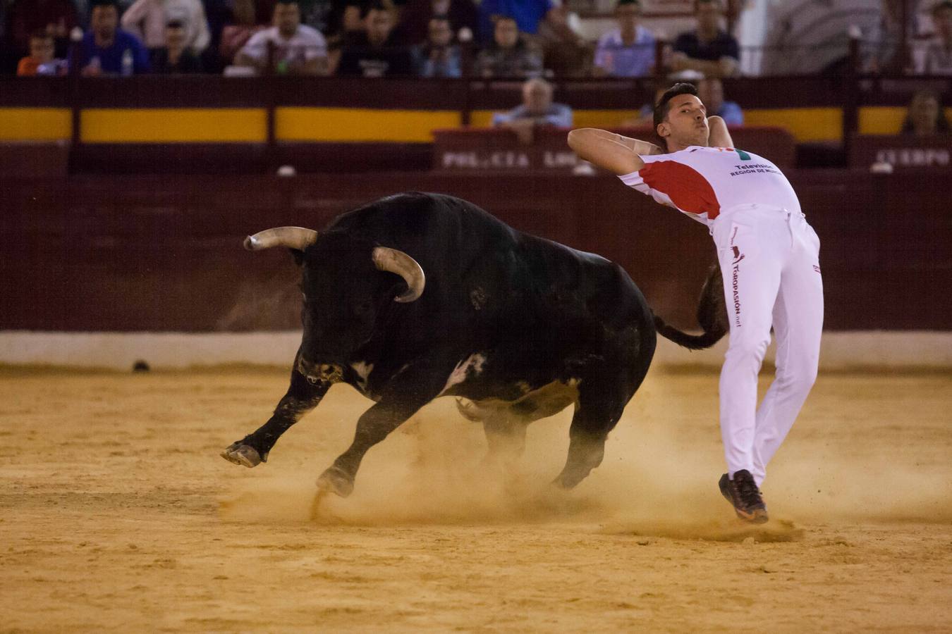 Las luces del centenario coso de La Condomina se encendieron anoche para acoger un espectáculo singular: una semifinal del Campeonato de España de recortadores