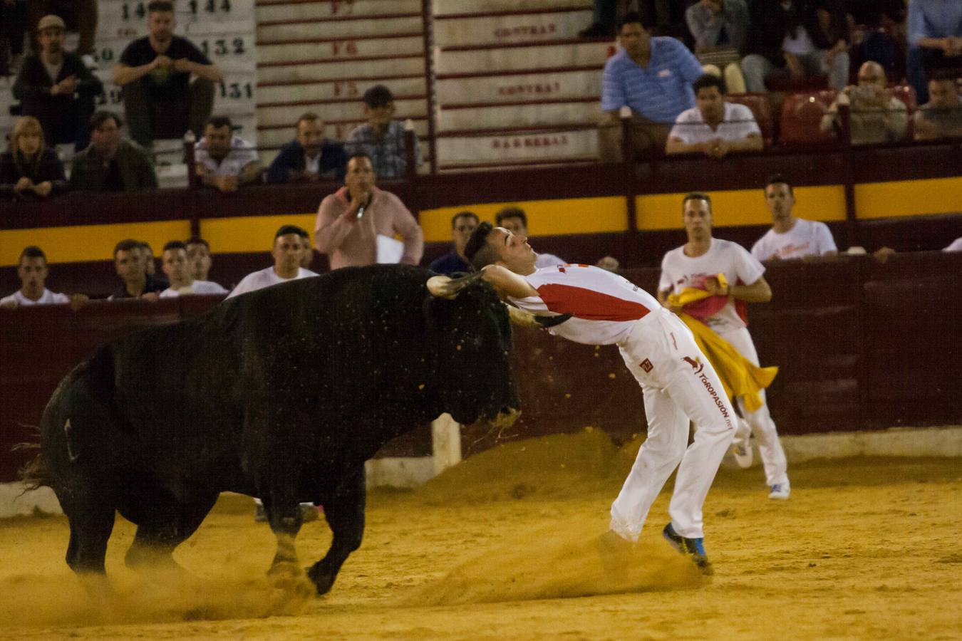 Las luces del centenario coso de La Condomina se encendieron anoche para acoger un espectáculo singular: una semifinal del Campeonato de España de recortadores