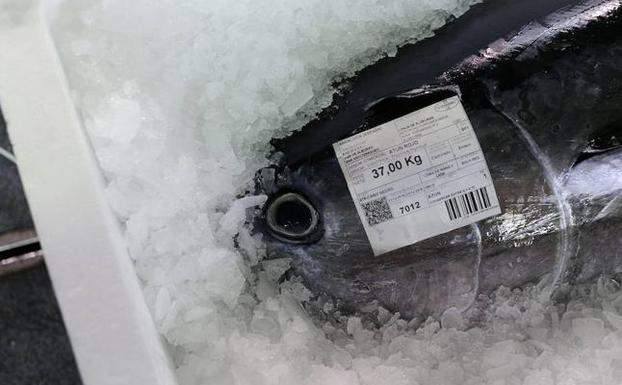Europa exige a España que ponga fin al fraude del atún rojo que causa cientos de intoxicaciones