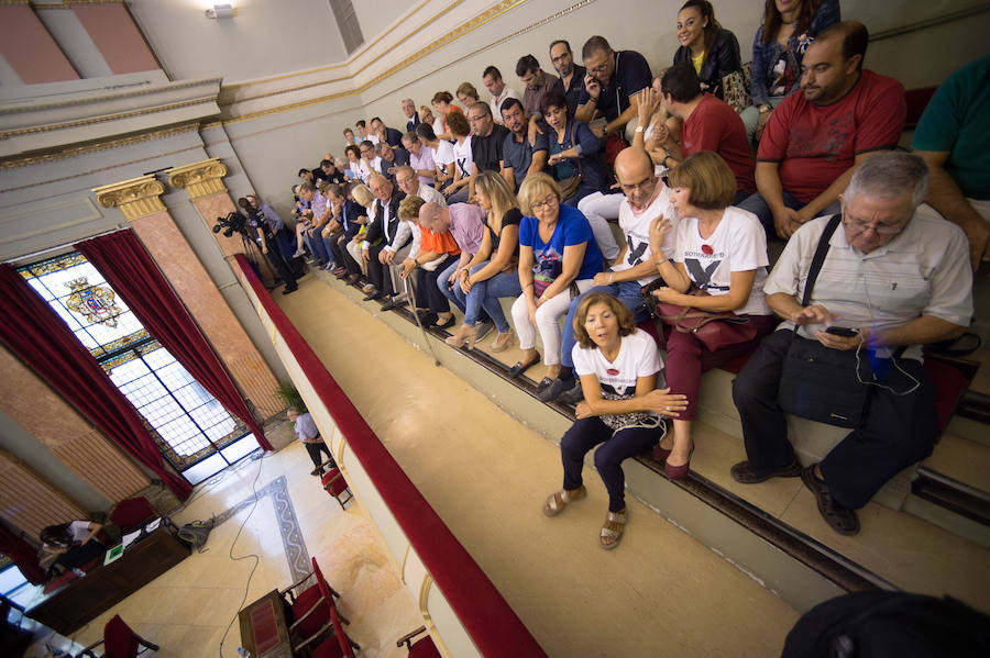 La oposición respaldó este jueves la moción de urgencia por la que el Ayuntamiento de Murcia pide que el AVE se quede en la estación de Beniel y se ejecute mientras tanto el soterramiento desde Senda de los Garres hasta El Carmen que incluya la estación. PSOE, Ciudadanos, Cambiemos, Ahora Murcia y el edil no adscrito Javier Trigueros reclamaron que el AVE no entre en superficie a Murcia y rechazan más actos de fe reclamando al Gobierno local, regional y estatal "hechos y menos palabras"