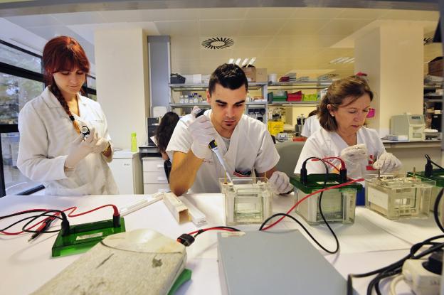 Investigadores trabajando en los laboratorios del IMIB del Centro Regional de Hemodonación.