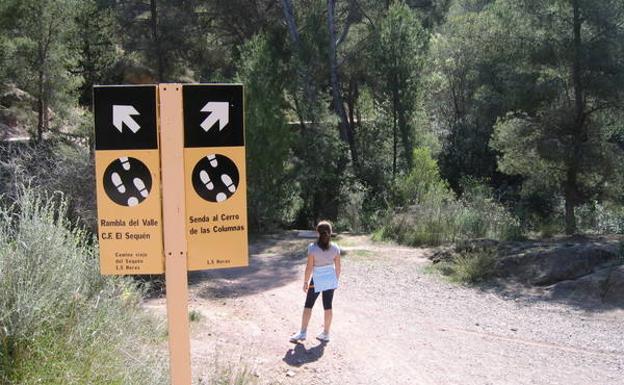 Imagen principal - Carteles que indican el inicio de la senda, las canteras de El Valle y un tramo de camino cerca del Cerro de las Columnas.