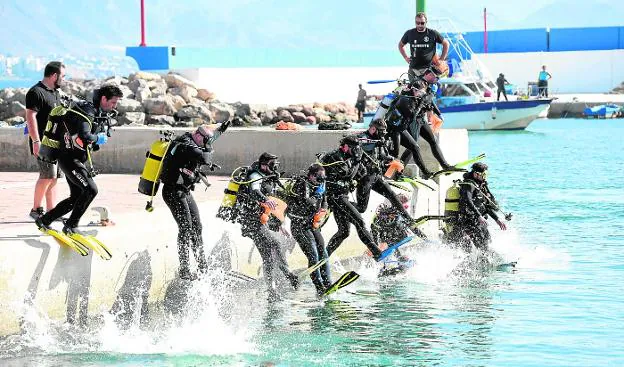 Un grupo de buzos salta a las aguas del Puerto Pesquero de Mazarrón, el pasado sábado, en busca de residuos marinos.